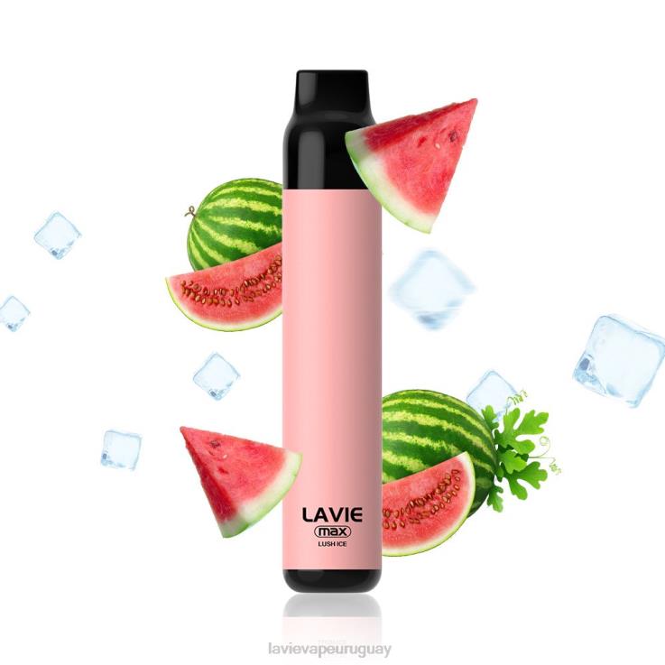 V68HV277 Lavie Vape Uruguay | hielo exuberante LAVIE BAR 5000 inhalaciones - máx.